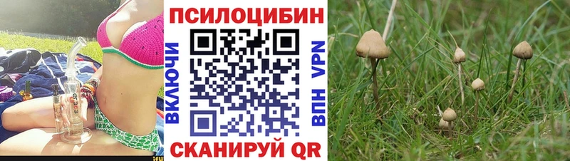 Галлюциногенные грибы мухоморы  Архангельск 