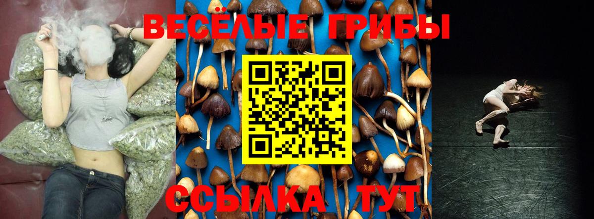 Архангельск  Псилоцибиновые грибы мицелий  Галлюциногенные грибы Magic Shrooms  Вход с VPN 